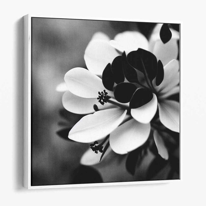 Floral Noir Etude: Monochrome Floral Symphony Canvas Art