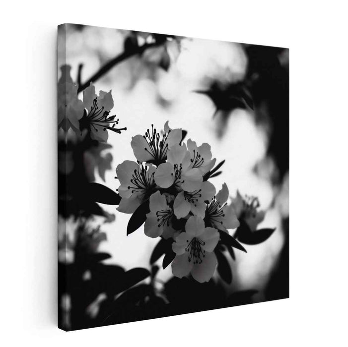 Monochromatic Tranquility: Serene Nature in Grayscale Canvas Art Print