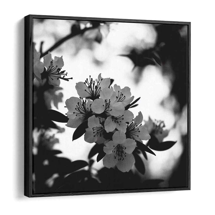 Monochromatic Tranquility: Serene Nature in Grayscale Canvas Art Print