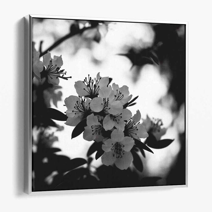 Monochromatic Tranquility: Serene Nature in Grayscale Canvas Art Print