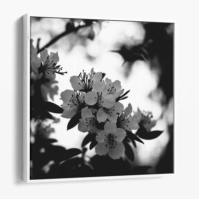 Monochromatic Tranquility: Serene Nature in Grayscale Canvas Art Print