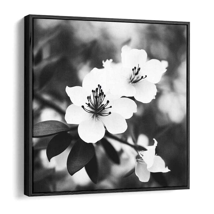 Black and White Rhododendron #003