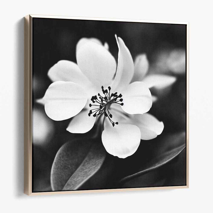 Monochromatic Petal Impressions: Monochrome Floral Elegance Canvas Art Print