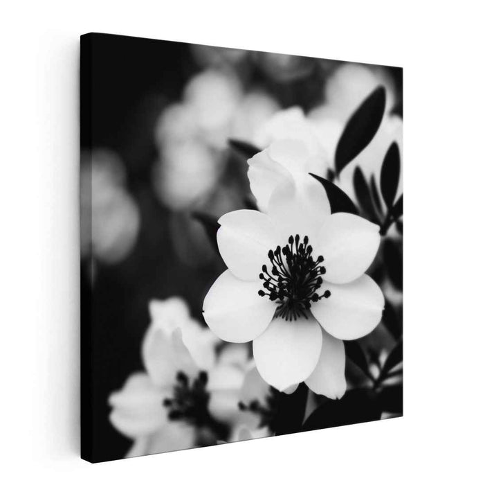 Ink Blooms Dance Gracefully: Monochrome Floral Elegance Canvas Art Print