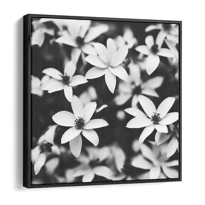 Blossom Melody Echoes: Monochrome Floral Symphony Canvas Art Print