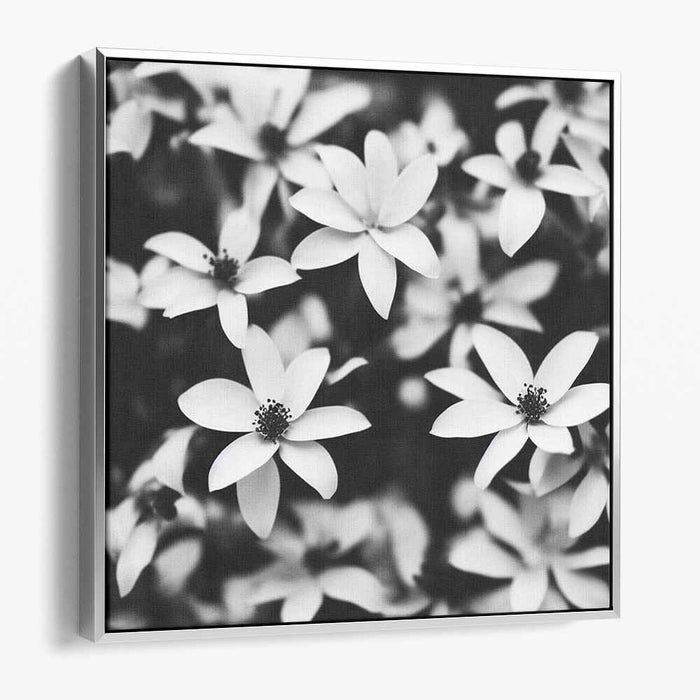 Blossom Melody Echoes: Monochrome Floral Symphony Canvas Art Print