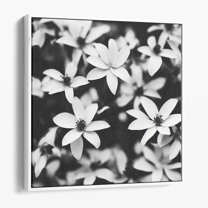 Blossom Melody Echoes: Monochrome Floral Symphony Canvas Art Print