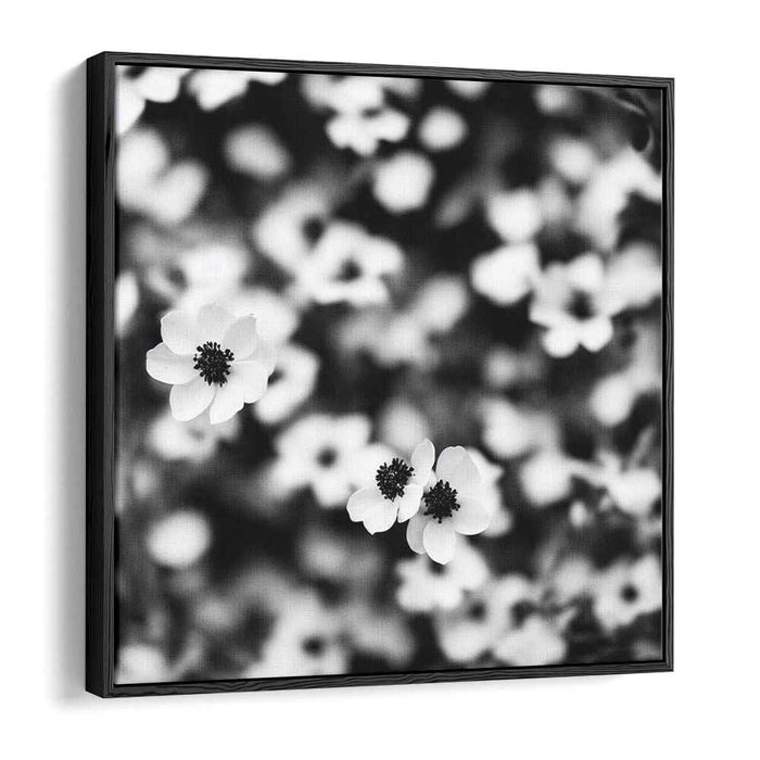 Petals in Monochrome: Monochrome Floral Canvas Art