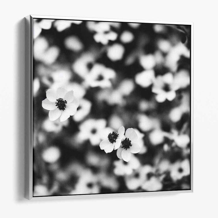 Petals in Monochrome: Monochrome Floral Canvas Art