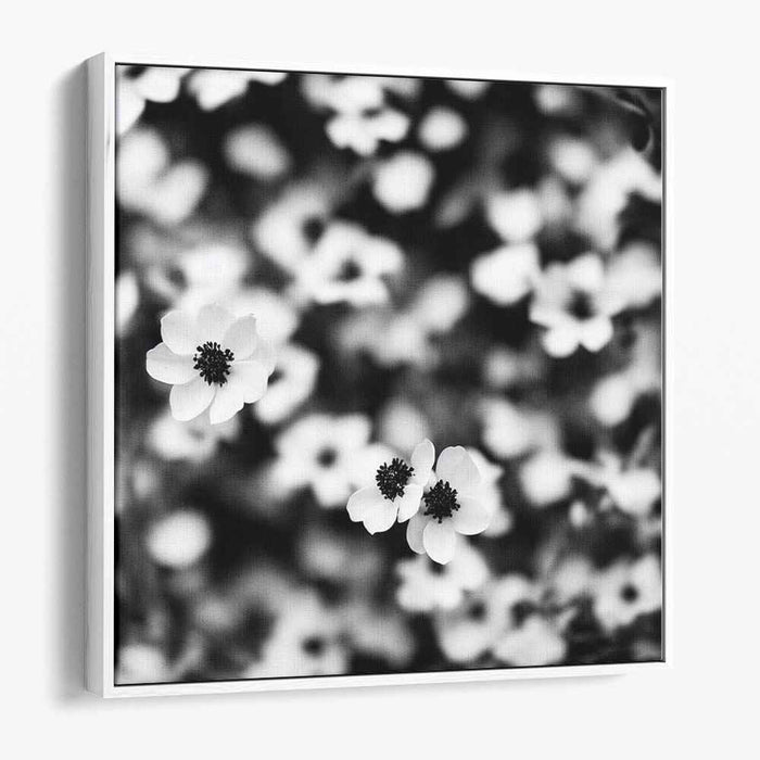 Petals in Monochrome: Monochrome Floral Canvas Art