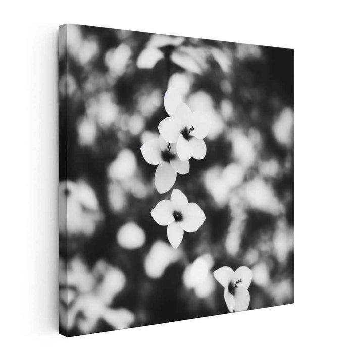 Monochrome Blossom Symphony: Black and White Floral Elegance Canvas Art Print