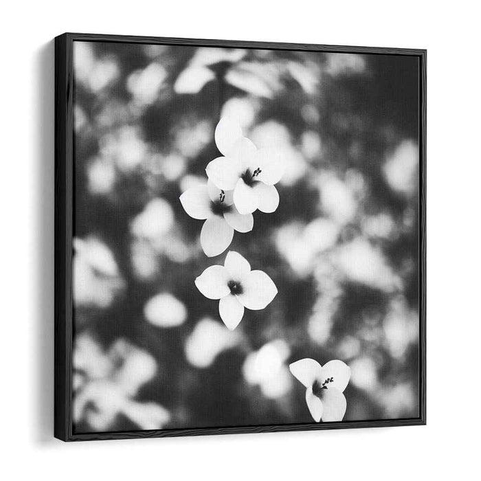 Monochrome Blossom Symphony: Black and White Floral Elegance Canvas Art Print