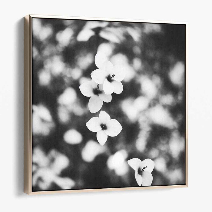 Monochrome Blossom Symphony: Black and White Floral Elegance Canvas Art Print