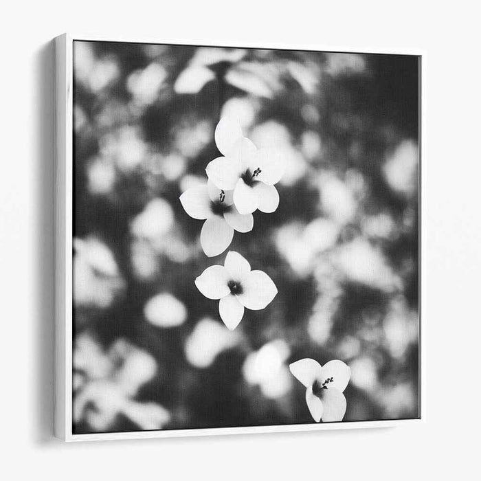 Monochrome Blossom Symphony: Black and White Floral Elegance Canvas Art Print