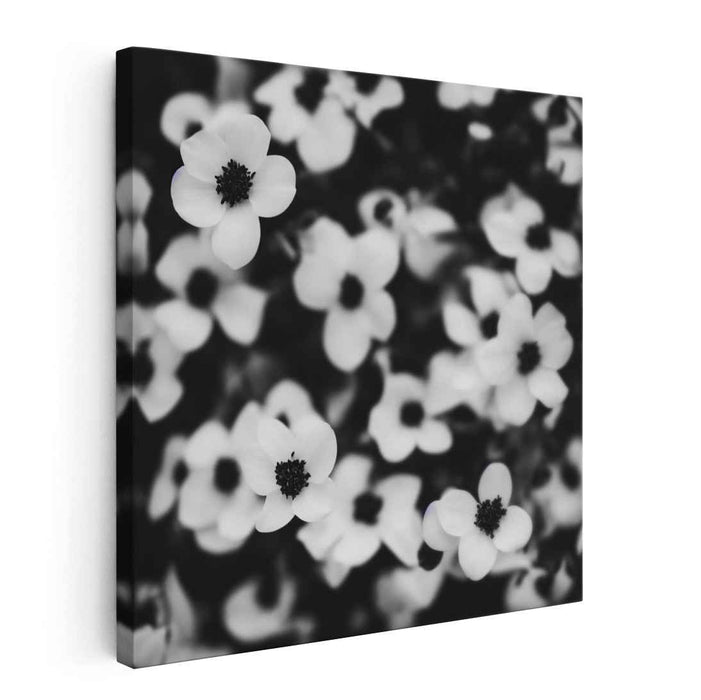 Eternal Blossom Symphony: Timeless Floral Canvas Art Print