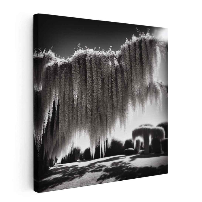 Monochrome Garden Whispers: Monochrome Garden Whispers Canvas Art Print