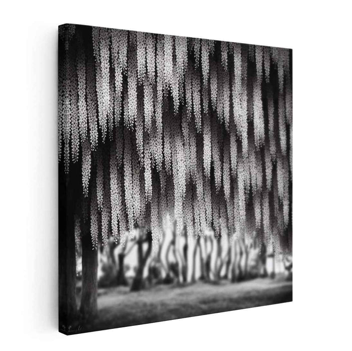 Monochrome Wilderness Symphony: Black and White Nature Photography Canvas Art Print