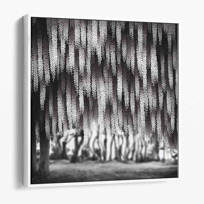 Monochrome Wilderness Symphony: Black and White Nature Photography Canvas Art Print