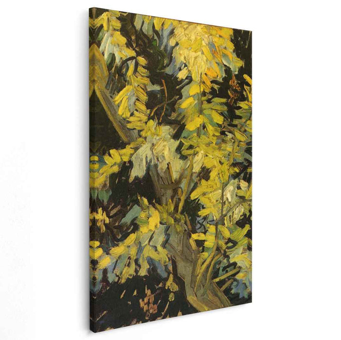 Blossoming Acacia Branches (1890) by Vincent van Gogh