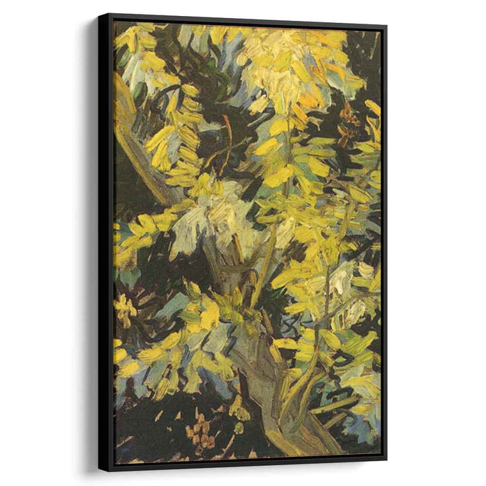 Blossoming Acacia Branches (1890) by Vincent van Gogh