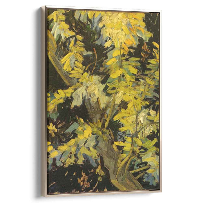 Blossoming Acacia Branches (1890) by Vincent van Gogh