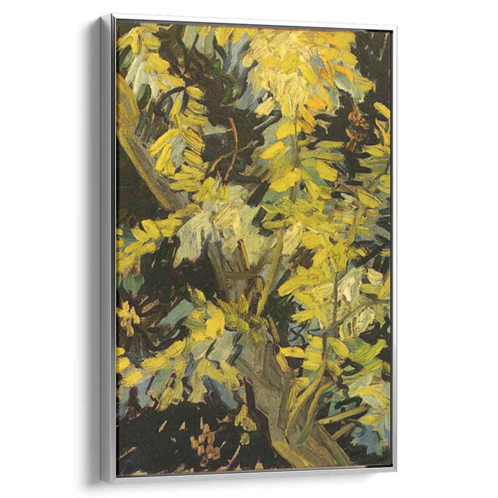 Blossoming Acacia Branches (1890) by Vincent van Gogh