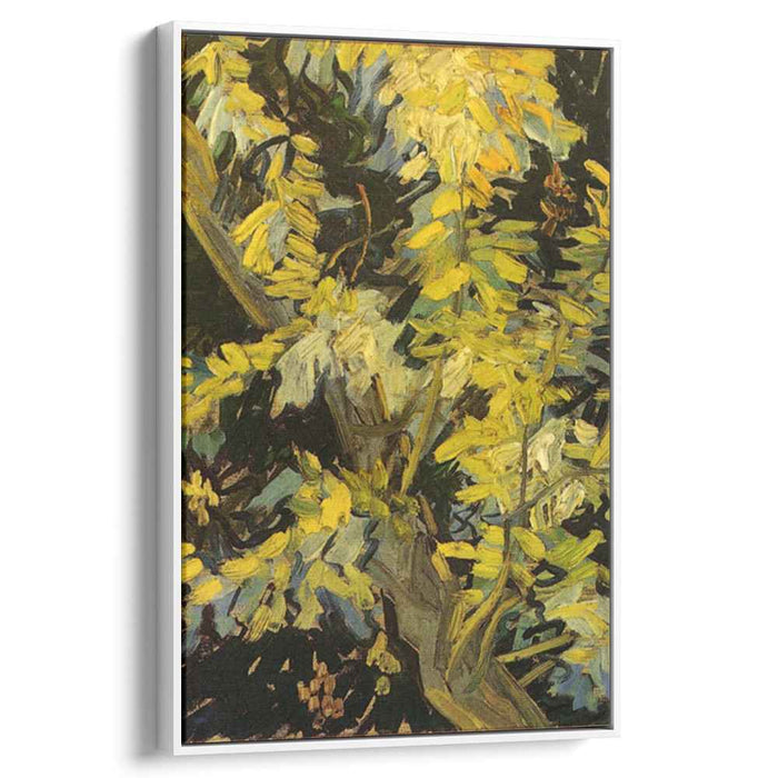 Blossoming Acacia Branches (1890) by Vincent van Gogh