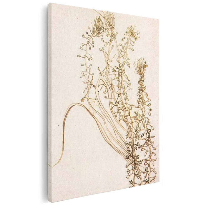 Blossoming Branches (1890) by Vincent van Gogh