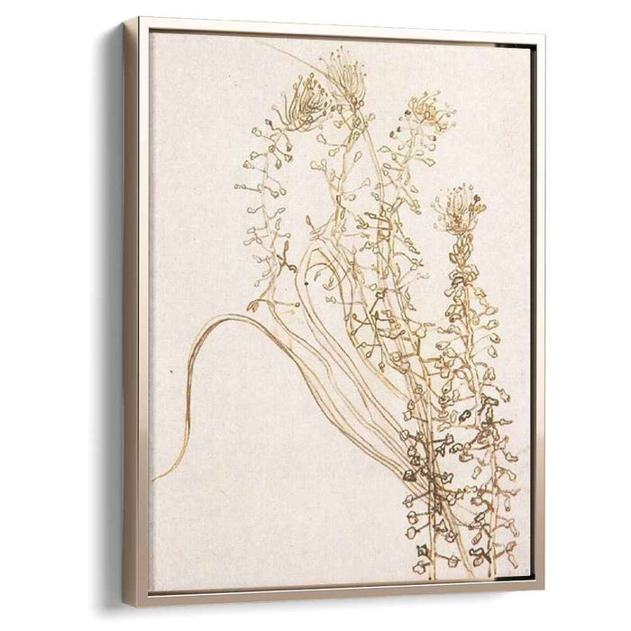 Blossoming Branches (1890) by Vincent van Gogh