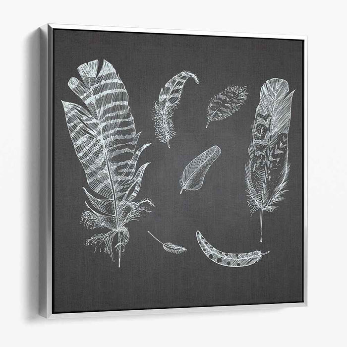 Whispers of Midnight Plumes: Intricate Feather Illustrations on Charcoal Canvas