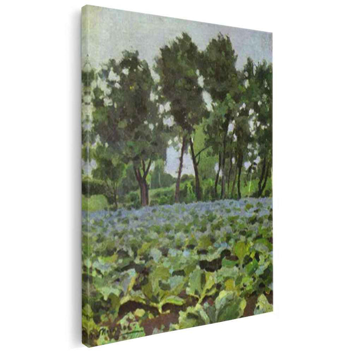 Cabbage Field with Willows (1893) by Victor Borisov-Musatov