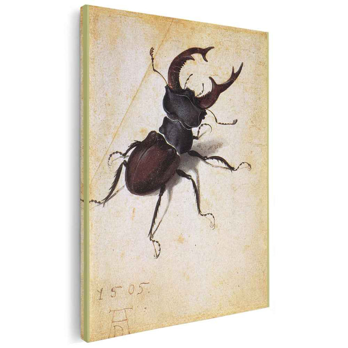 Cervus Lucanus (1505) by Albrecht Durer