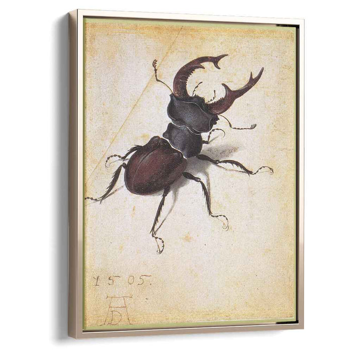 Cervus Lucanus (1505) by Albrecht Durer