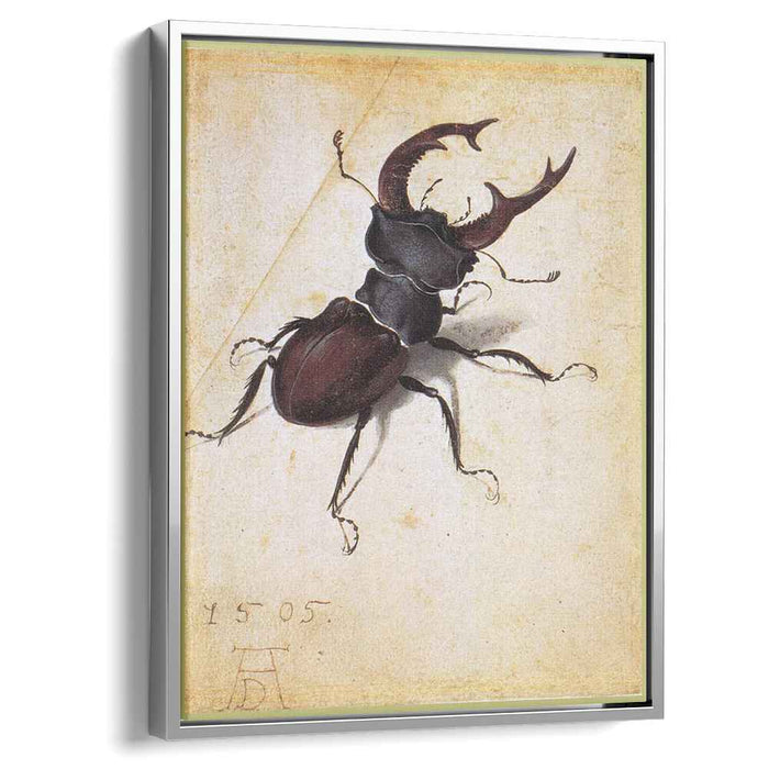 Cervus Lucanus (1505) by Albrecht Durer