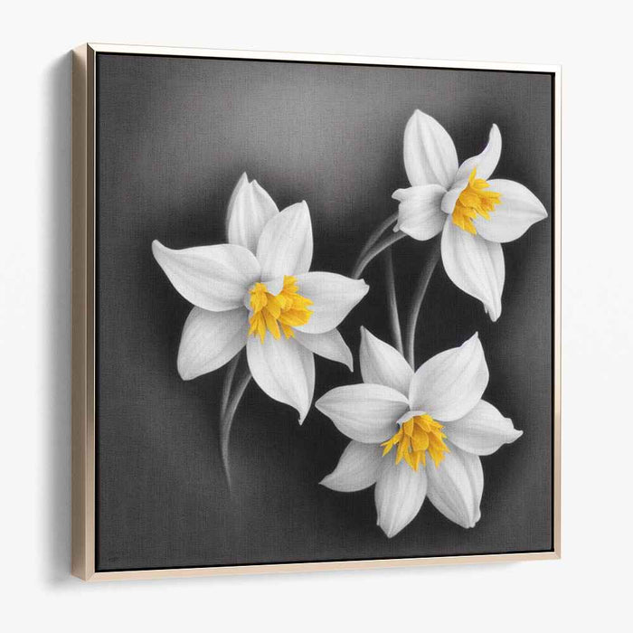 Charcoal Daffodils #003