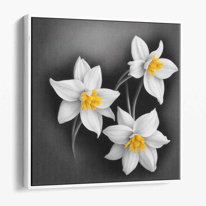 Charcoal Daffodils #003