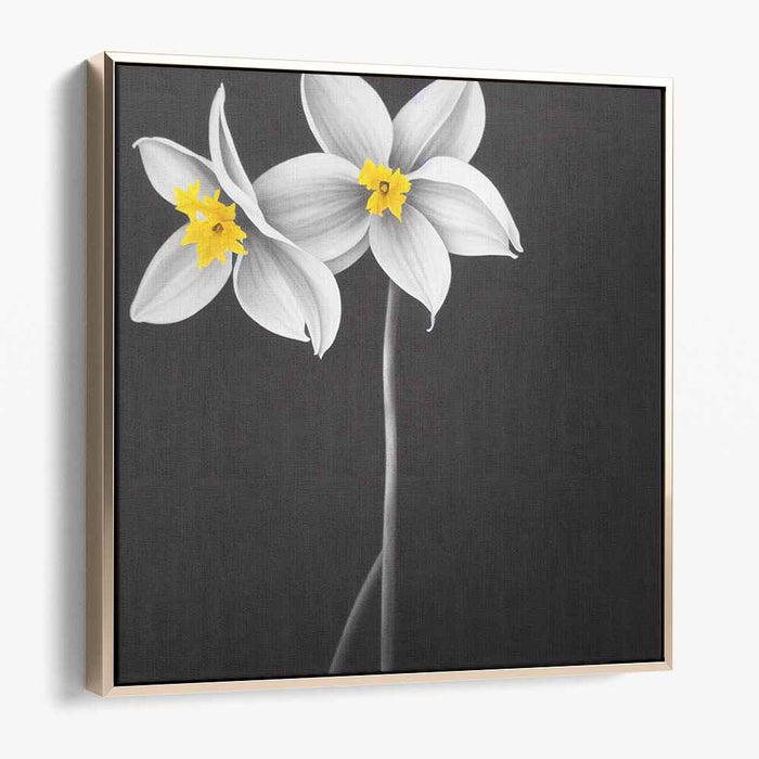 Charcoal Daffodils #007