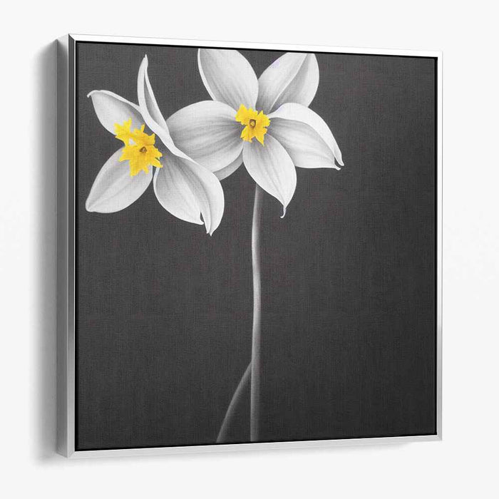 Charcoal Daffodils #007