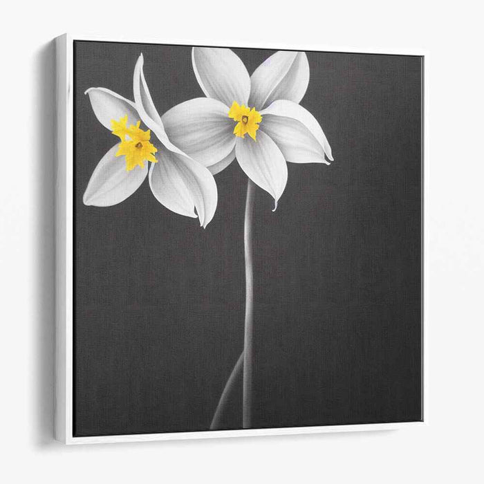 Charcoal Daffodils #007