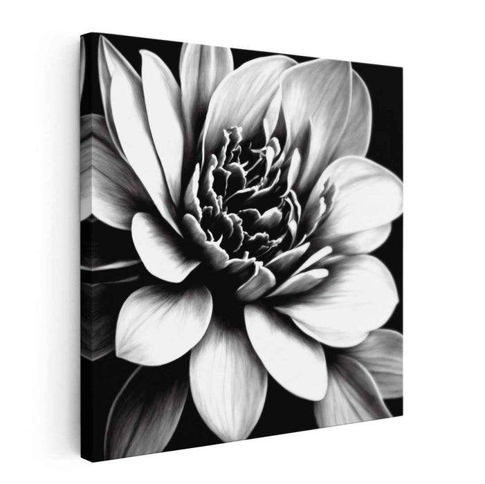 Petals in Gray Harmony: Monochrome Floral Realism Canvas Art Print