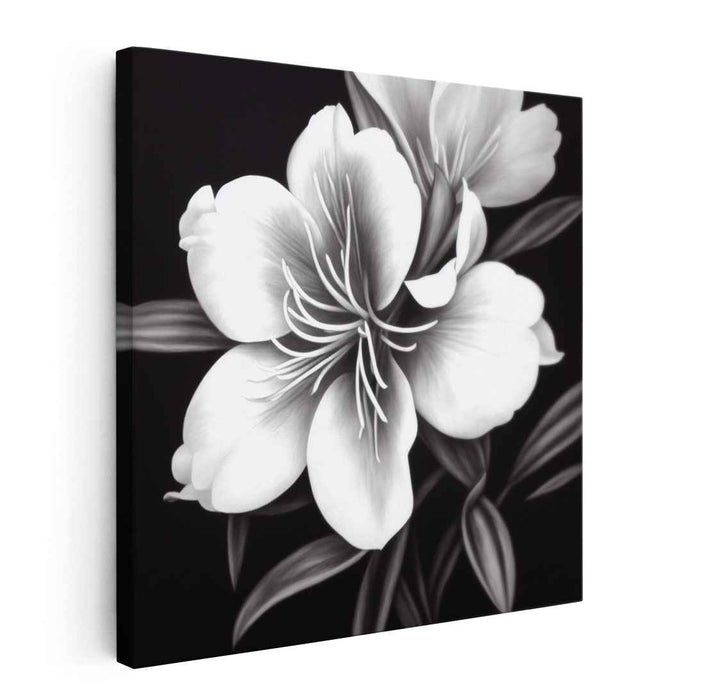 Blossom Whispers in Silence: Monochrome Floral Elegance Canvas Art