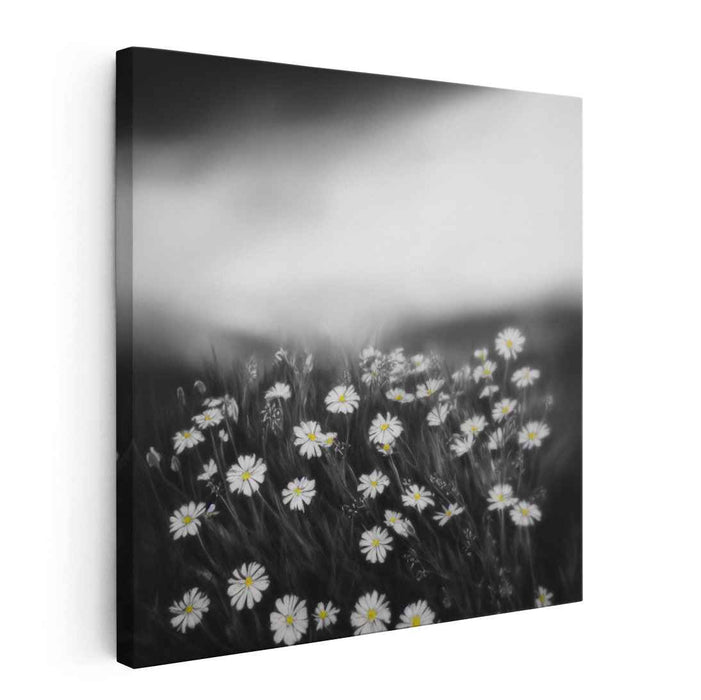Monochrome Meadow Melody: Black and White Wildflower Landscape Canvas Art Print
