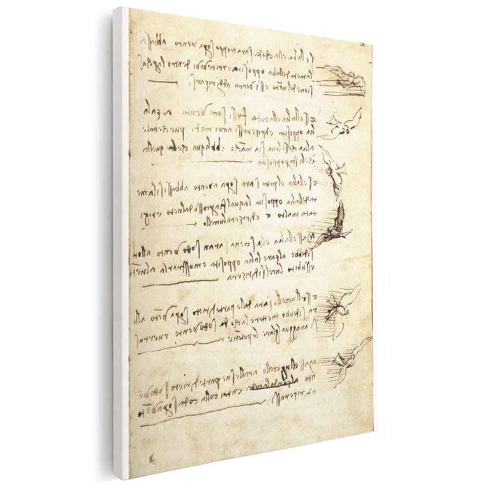 Codex on the flight of birds (1505) by Leonardo da Vinci