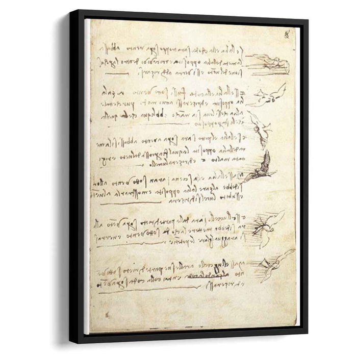 Codex on the flight of birds (1505) by Leonardo da Vinci