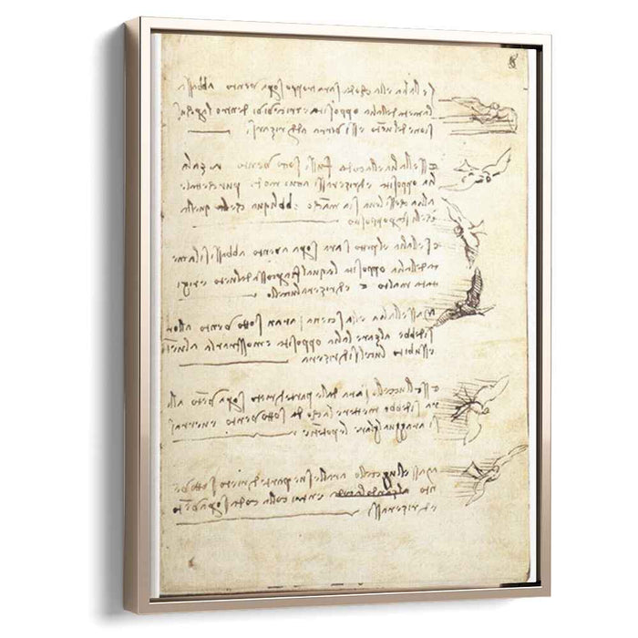 Codex on the flight of birds (1505) by Leonardo da Vinci