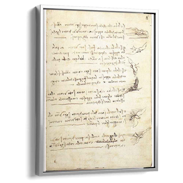Codex on the flight of birds (1505) by Leonardo da Vinci