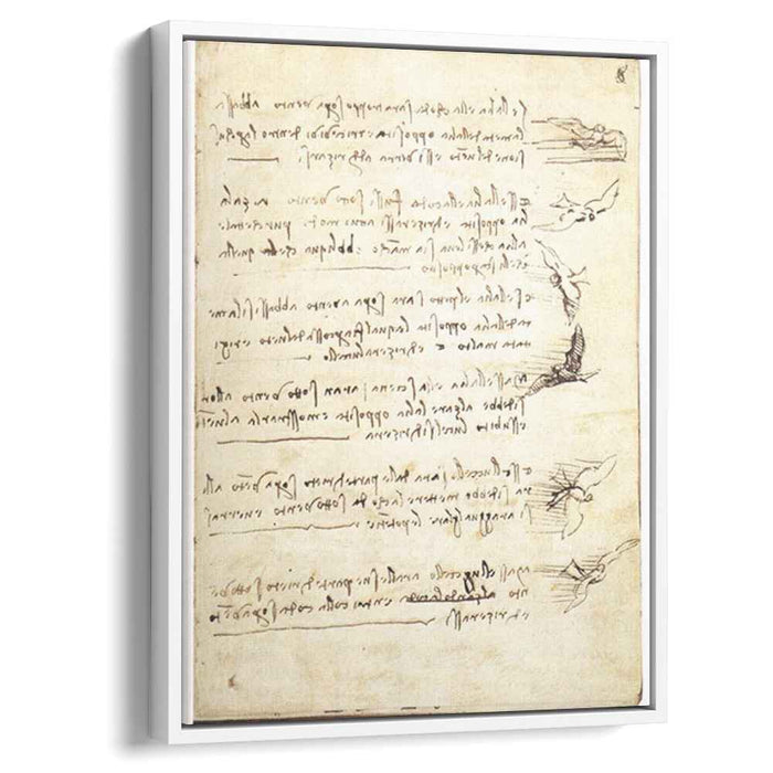 Codex on the flight of birds (1505) by Leonardo da Vinci