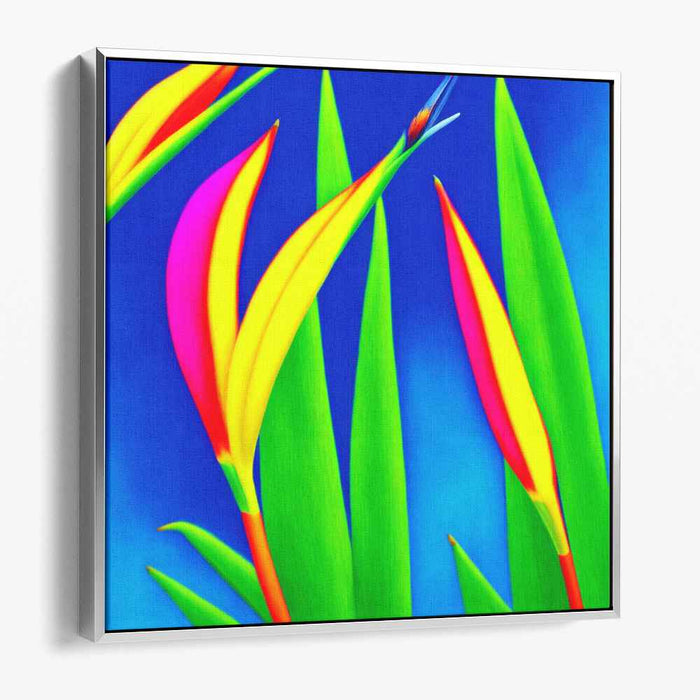 Pencil Drawing Birds of Paradise #002