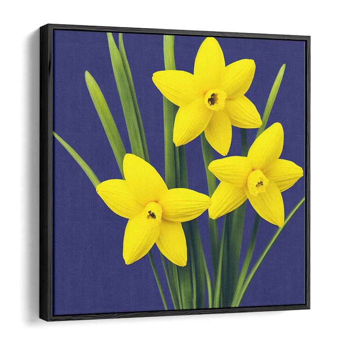 Pencil Drawing Daffodils #002