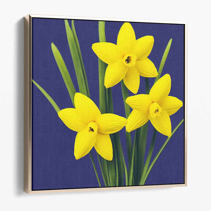 Pencil Drawing Daffodils #002